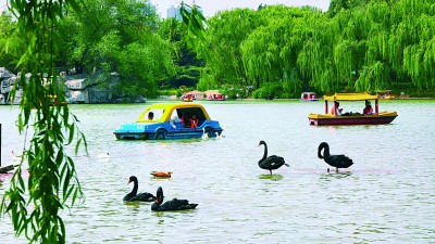 一脉源流 心有所归——河北邢台优化文旅供给推动生态优势转化为